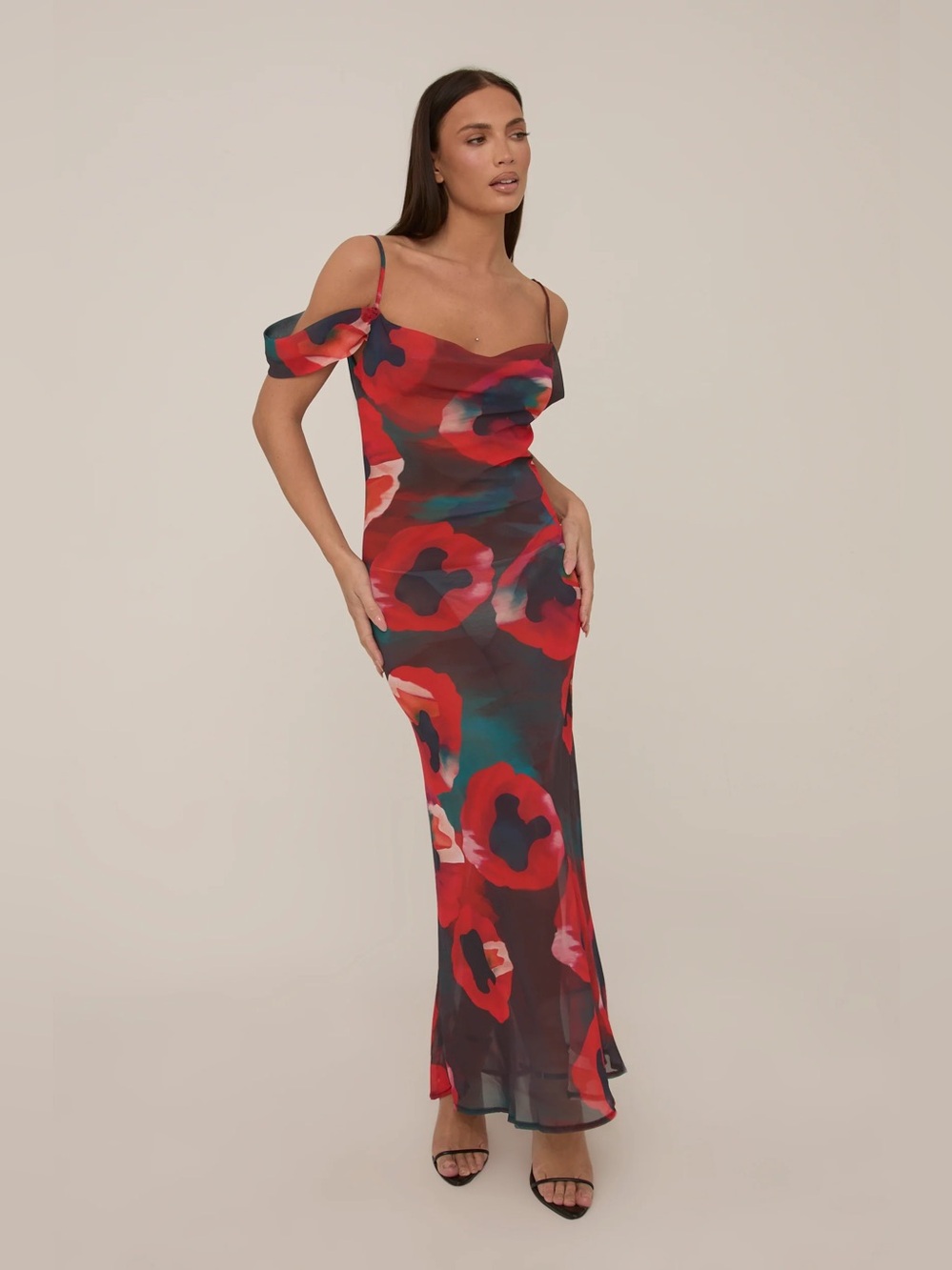 Sheer poppy printed dress
